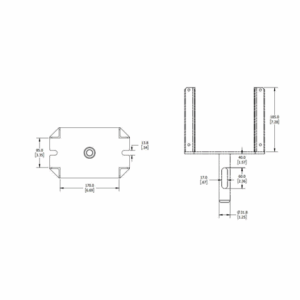 Forkhead Dimensions of the forkhead